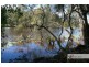 144 Mingaletta Road, Kundabung NSW 2441