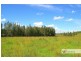 144 Mingaletta Road, Kundabung NSW 2441