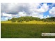144 Mingaletta Road, Kundabung NSW 2441