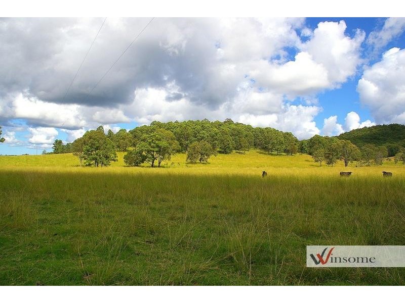 144 Mingaletta Road, Kundabung NSW 2441