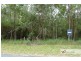 Lot 4 Collombatti Road, Frederickton NSW 2440