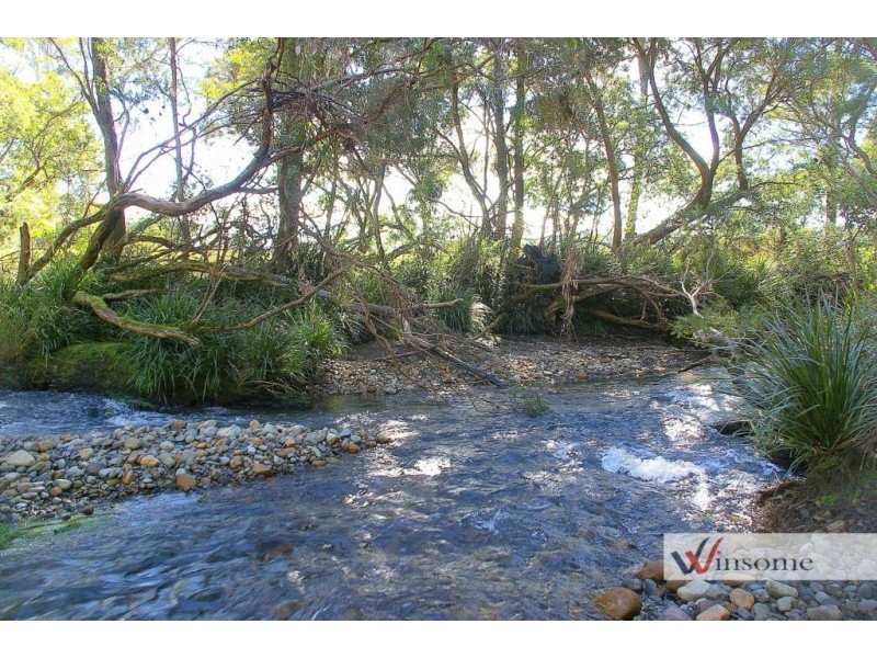 Rollands Plains NSW 2441