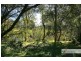 Rollands Plains NSW 2441