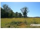Rollands Plains NSW 2441