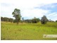 1311 Collombatti Road, Collombatti NSW 2440