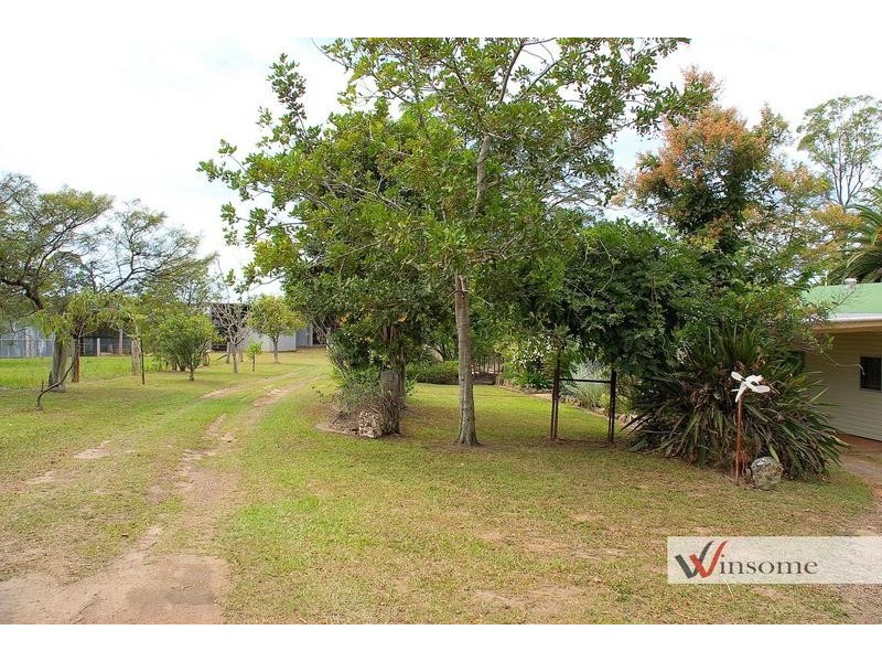 1311 Collombatti Road, Collombatti NSW 2440