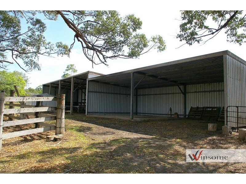 1311 Collombatti Road, Collombatti NSW 2440