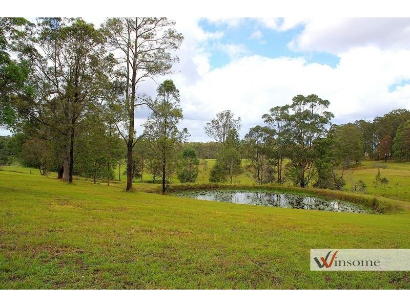 1311 Collombatti Road, Collombatti NSW 2440