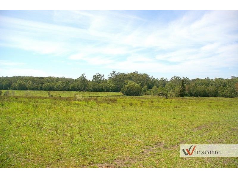 1311 Collombatti Road, Collombatti NSW 2440