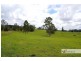 1311 Collombatti Road, Collombatti NSW 2440