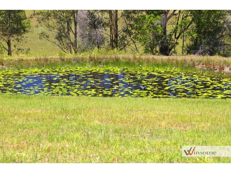 1311 Collombatti Road, Collombatti NSW 2440