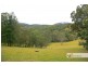 1429 Hickeys Creek Road, Millbank NSW 2440