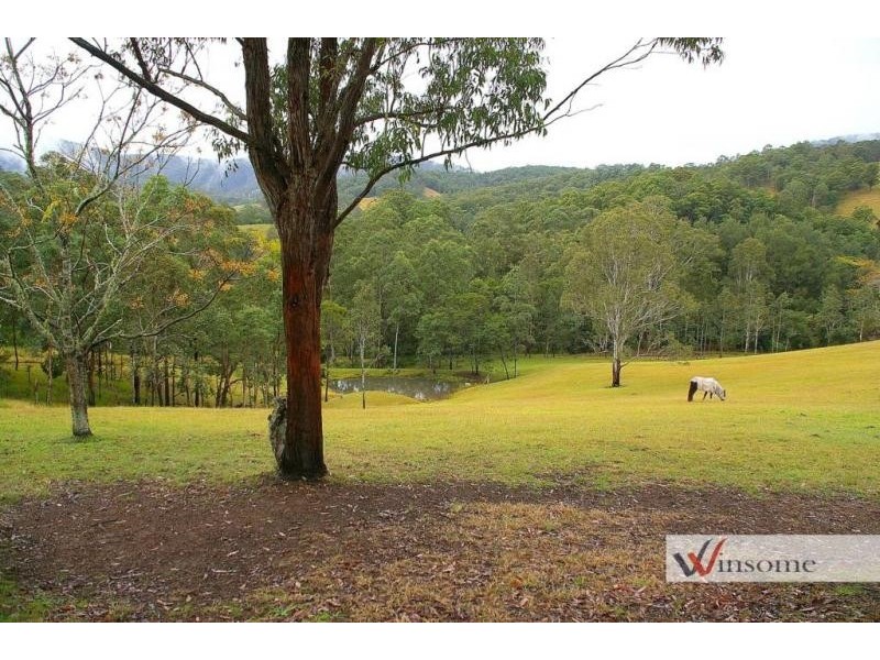 1429 Hickeys Creek Road, Millbank NSW 2440
