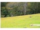 1429 Hickeys Creek Road, Millbank NSW 2440