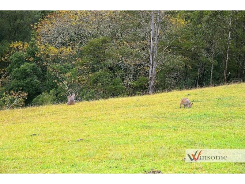 1429 Hickeys Creek Road, Millbank NSW 2440