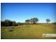 954 Plomer Road, Crescent Head NSW 2440