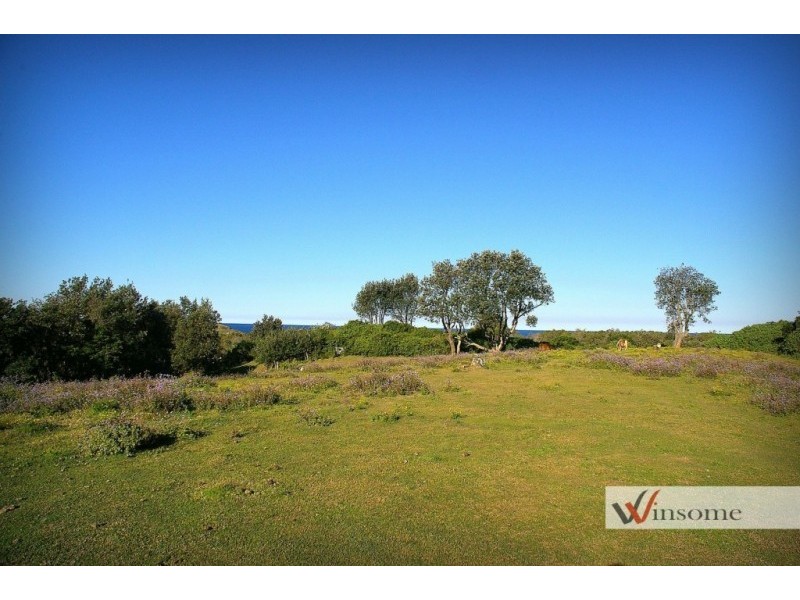 954 Plomer Road, Crescent Head NSW 2440
