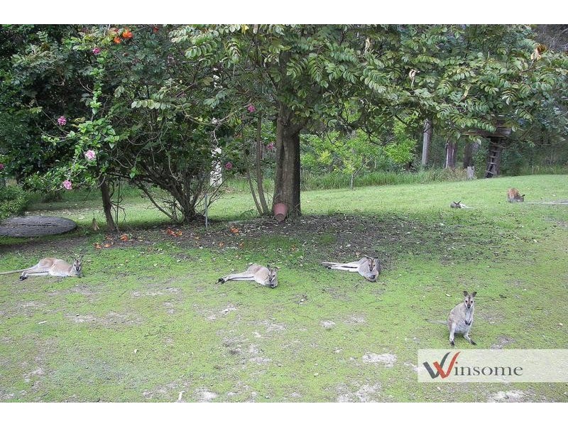 166 Ballengarra Road, Dondingalong NSW 2440