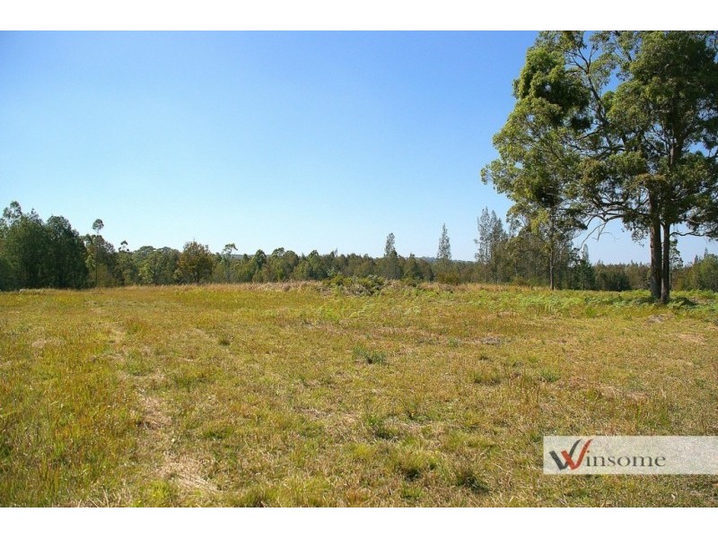 221-2233 Saleyards Road, Collombatti NSW 2440