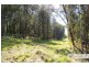 221-2233 Saleyards Road, Collombatti NSW 2440