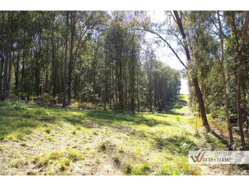 221-2233 Saleyards Road, Collombatti NSW 2440