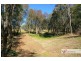 221-2233 Saleyards Road, Collombatti NSW 2440