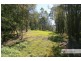 221-2233 Saleyards Road, Collombatti NSW 2440