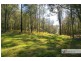 221-2233 Saleyards Road, Collombatti NSW 2440