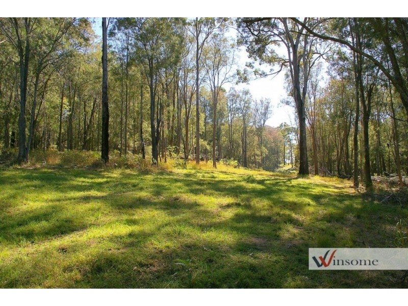 221-2233 Saleyards Road, Collombatti NSW 2440