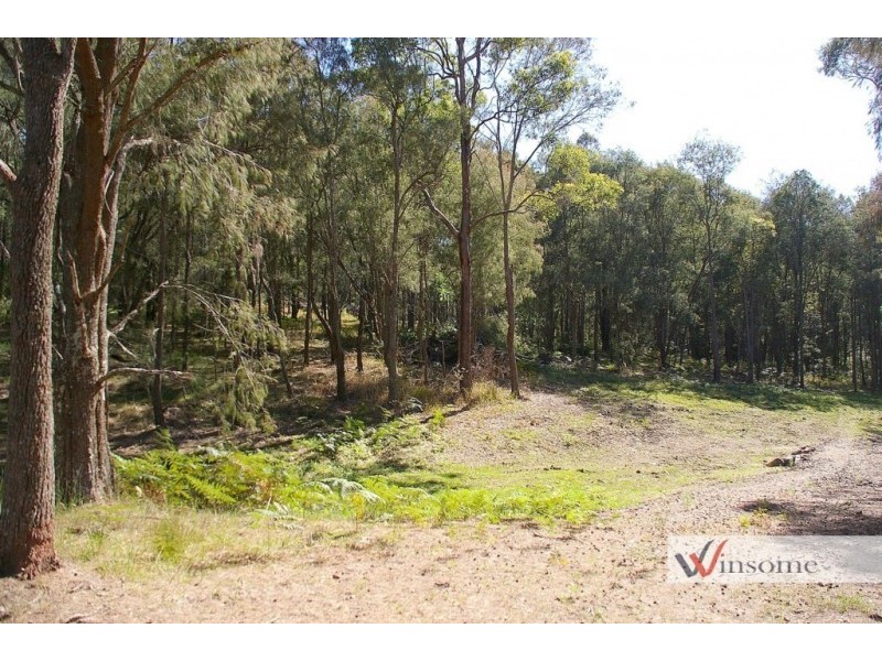 221-2233 Saleyards Road, Collombatti NSW 2440
