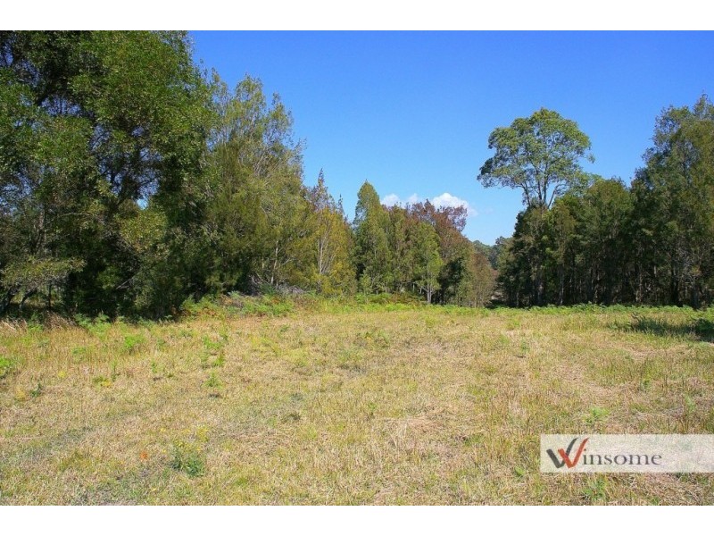 221-2233 Saleyards Road, Collombatti NSW 2440