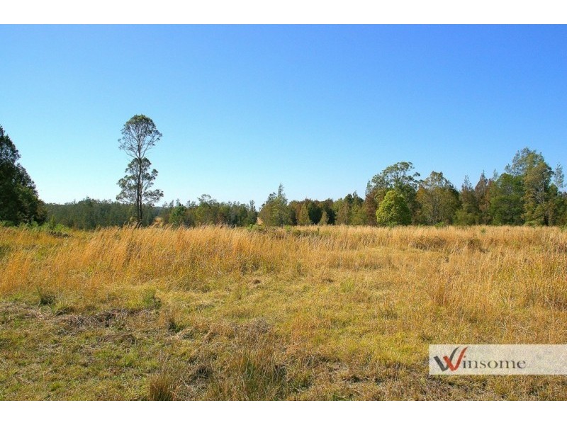 221-2233 Saleyards Road, Collombatti NSW 2440