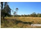 221-2233 Saleyards Road, Collombatti NSW 2440