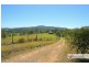 2858 Armidale Road, Hickeys Creek NSW 2440