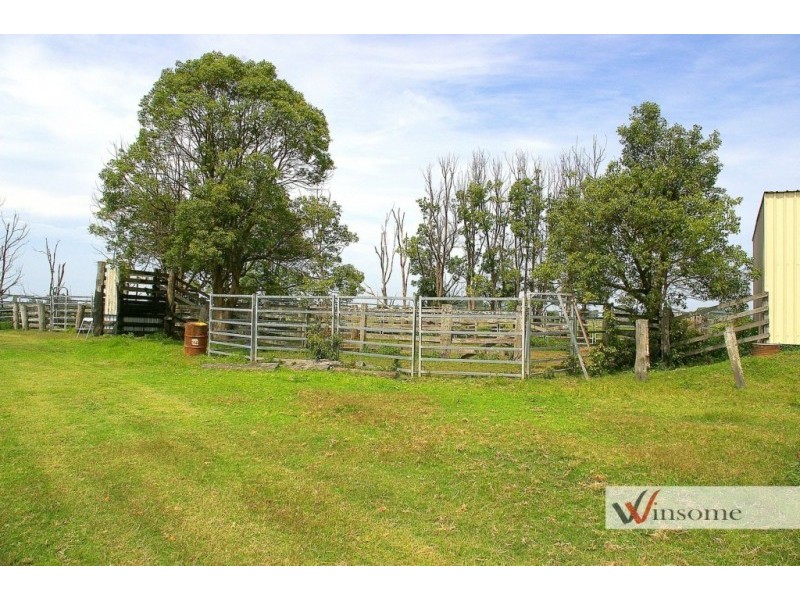 Western Lane, Bellimbopinni NSW 2440