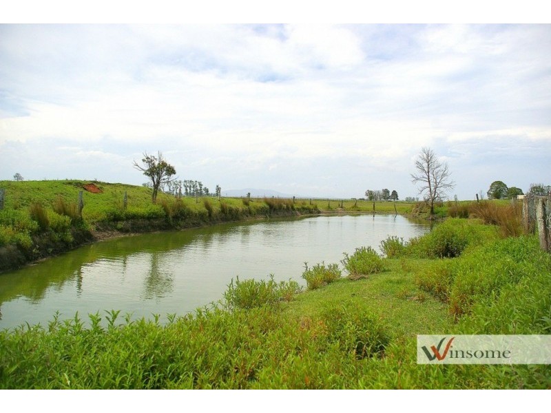 Western Lane, Bellimbopinni NSW 2440