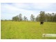 Western Lane, Bellimbopinni NSW 2440
