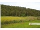 2433 Willi Willi Road, Moparrabah NSW 2440