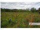 2433 Willi Willi Road, Moparrabah NSW 2440
