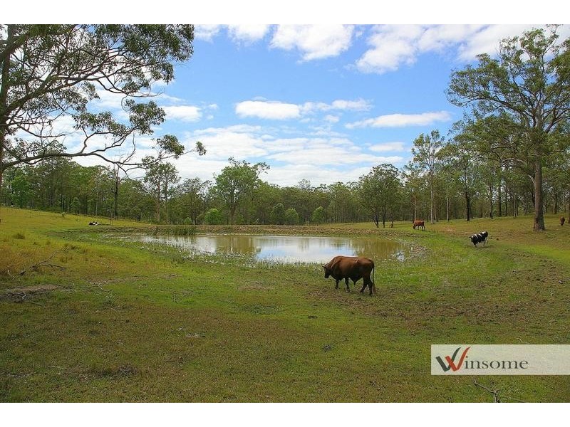 2599 Armidale Road, Willawarrin NSW 2440