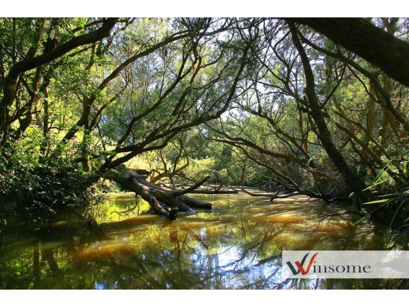 101 Mungay Creek Road, Mungay Creek NSW 2440