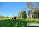 101 Mungay Creek Road, Mungay Creek NSW 2440