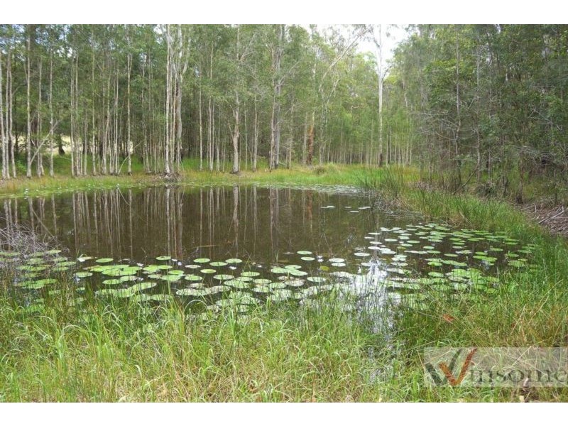 934 Collombatti Road, Collombatti NSW 2440