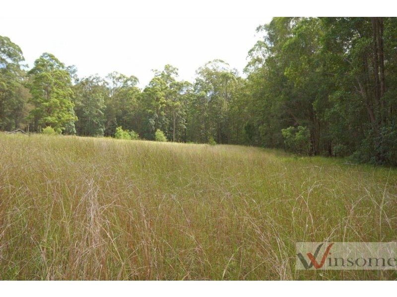 934 Collombatti Road, Collombatti NSW 2440