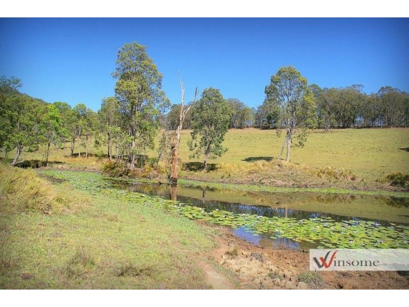 2858 Armidale Road, Hickeys Creek NSW 2440