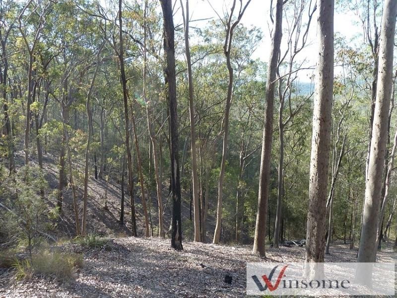 137 Toms Gully Road, Hickeys Creek NSW 2440