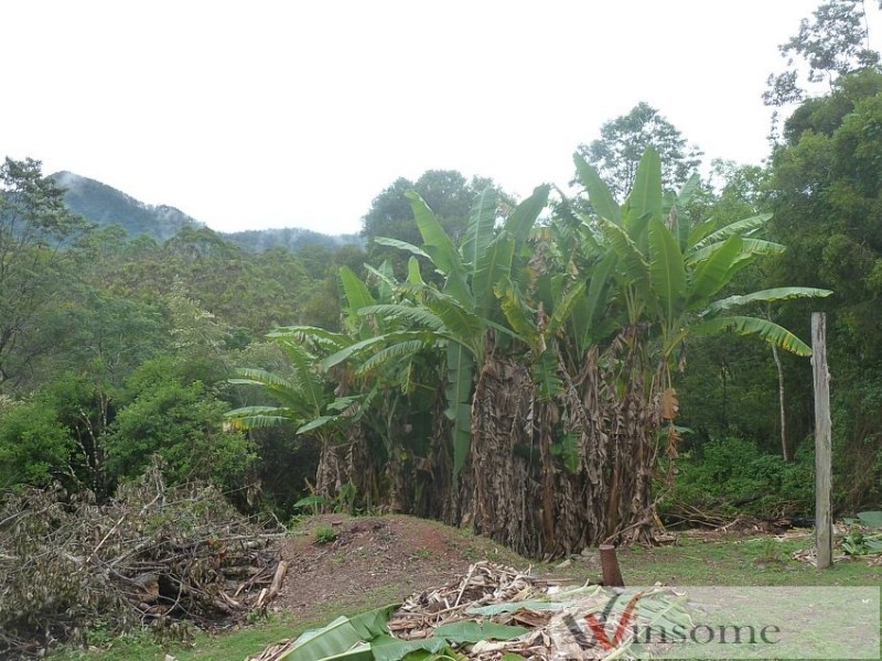 241 Sundowner Road, Millbank NSW 2440