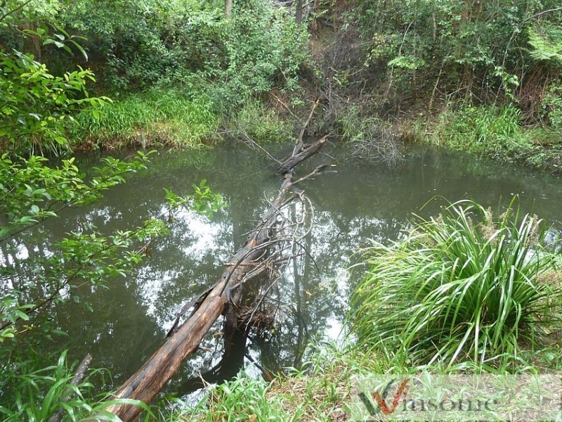 241 Sundowner Road, Millbank NSW 2440