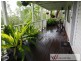 58 Davis Road, Wittitrin NSW 2440