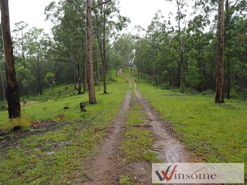 58 Davis Road, Wittitrin NSW 2440